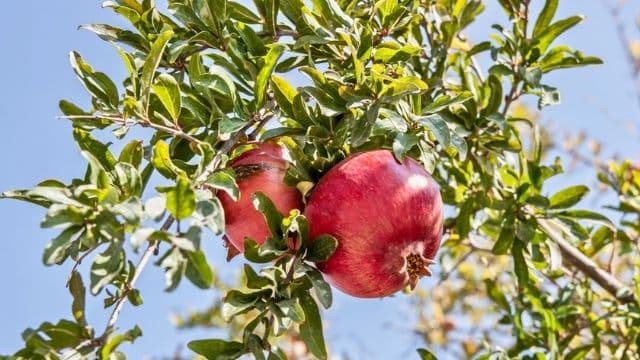 עיצוב ללא שם 14