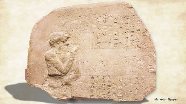גודל מותאם לאתר 43