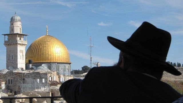 גודל מותאם לאתר 44