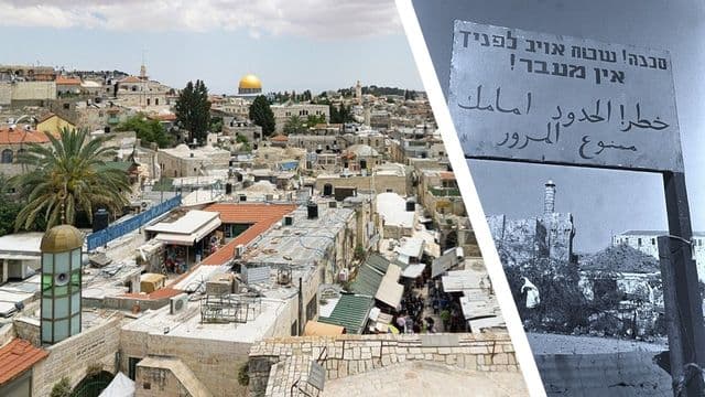 גודל מותאם לאתר 47