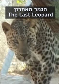 last leopard pstr