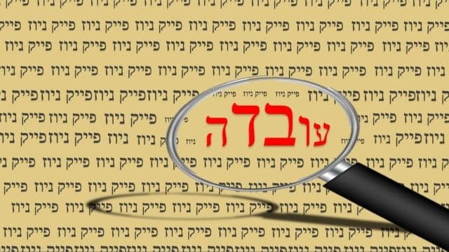 ציפורים 14