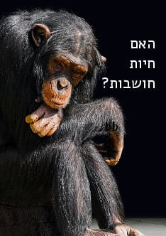 animal poster