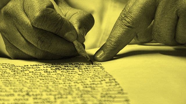 גודל מותאם לאתר 39