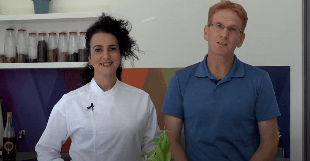 התוכנית לחיזוק מערכת החיסון