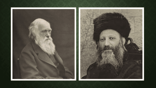 גודל מותאם לאתר 1