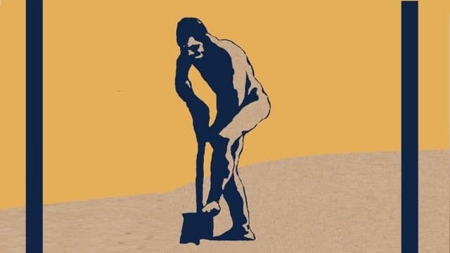 ציפורים 4