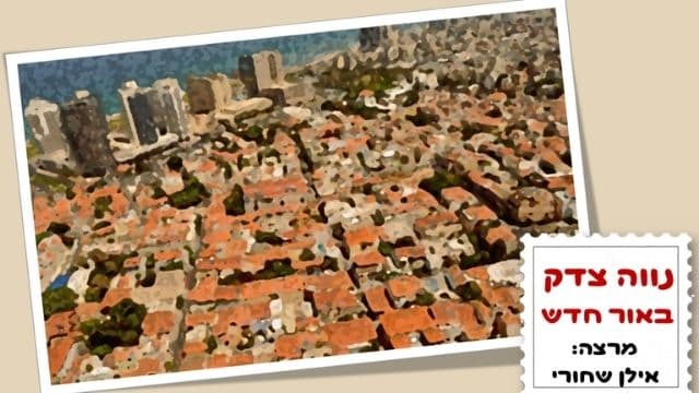 עיצוב ללא שם 11