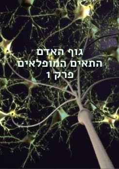 human body pstr 1