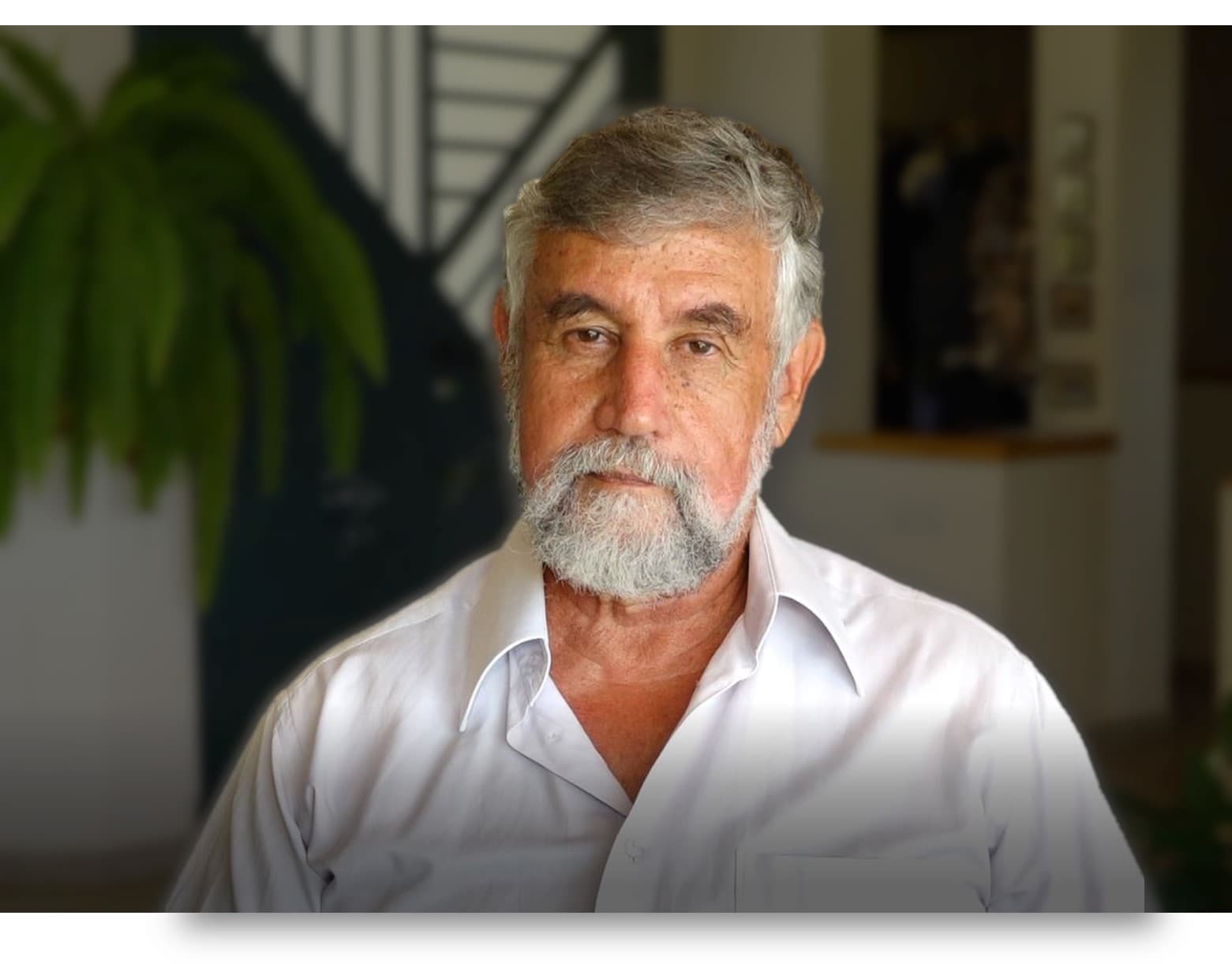 ד"ר מישקה בן דוד